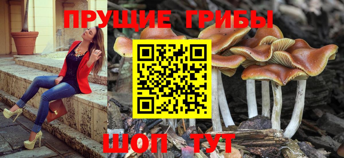 Псилоцибиновые грибы мухоморы  Вход с VPN  Грязи  Псилоцибиновые грибы мухоморы 